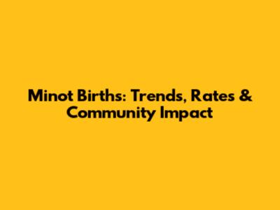 Minot Births: Trends, Rates & Community Impact