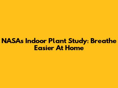 NASA's Indoor Plant Study: Breathe Easier At Home