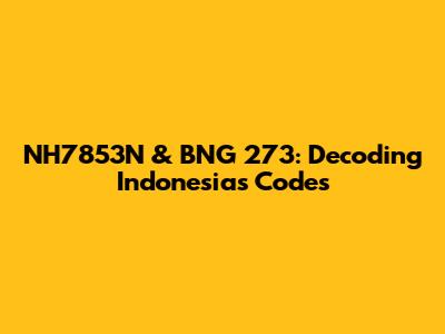 NH7853N & BNG 273: Decoding Indonesia's Codes
