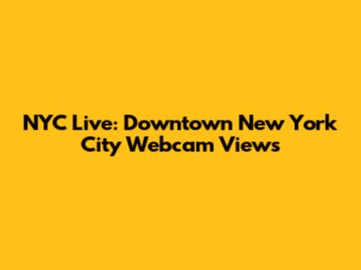 NYC Live: Downtown New York City Webcam Views
