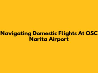 Navigating Domestic Flights At OSC Narita Airport