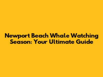 Newport Beach Whale Watching Season: Your Ultimate Guide