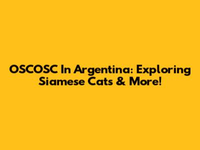OSCOSC In Argentina: Exploring Siamese Cats & More!