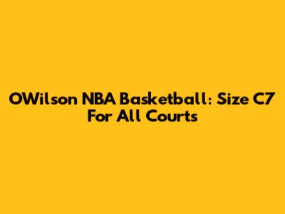 OWilson NBA Basketball: Size C7 For All Courts