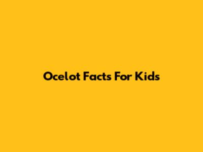 Ocelot Facts For Kids