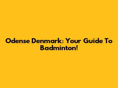 Odense Denmark: Your Guide To Badminton!