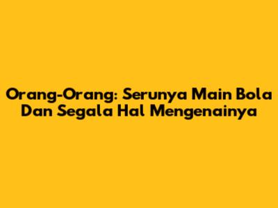Orang-Orang: Serunya Main Bola Dan Segala Hal Mengenainya
