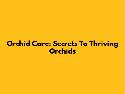 Orchid Care: Secrets To Thriving Orchids