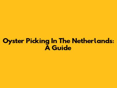 Oyster Picking In The Netherlands: A Guide