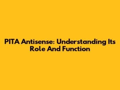 PITA Antisense: Understanding Its Role And Function