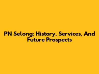 PN Selong: History, Services, And Future Prospects
