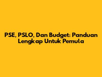 PSE, PSLO, Dan Budget: Panduan Lengkap Untuk Pemula
