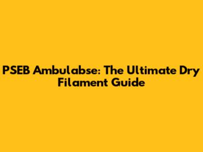 PSEB Ambulabse: The Ultimate Dry Filament Guide