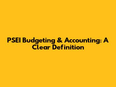 PSEI Budgeting & Accounting: A Clear Definition