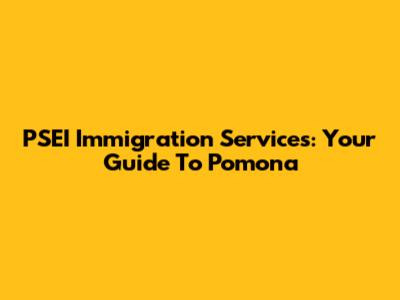 PSEI Immigration Services: Your Guide To Pomona