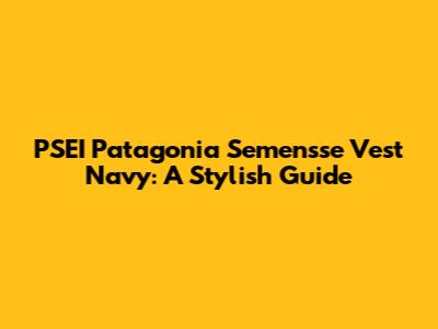 PSEI Patagonia Semensse Vest Navy: A Stylish Guide