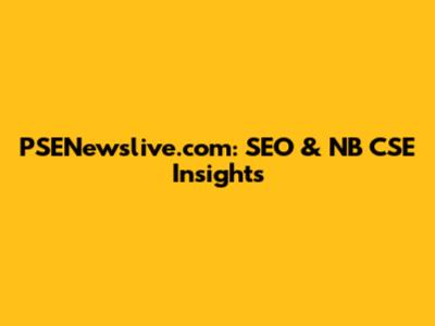 PSENewslive.com: SEO & NB CSE Insights