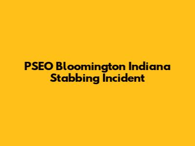 PSEO Bloomington Indiana Stabbing Incident