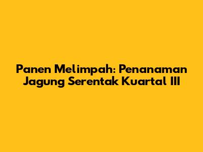 Panen Melimpah: Penanaman Jagung Serentak Kuartal III