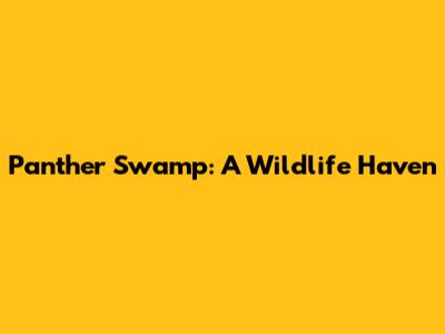 Panther Swamp: A Wildlife Haven
