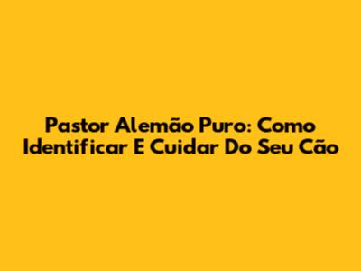 Pastor Alemão Puro: Como Identificar E Cuidar Do Seu Cão