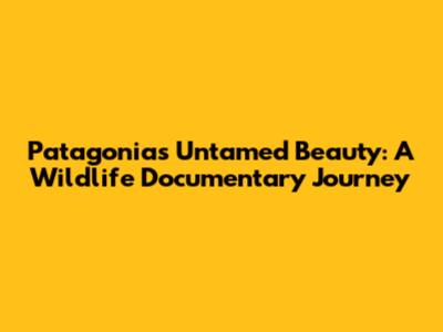 Patagonia's Untamed Beauty: A Wildlife Documentary Journey