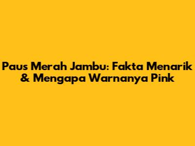Paus Merah Jambu: Fakta Menarik & Mengapa Warnanya Pink