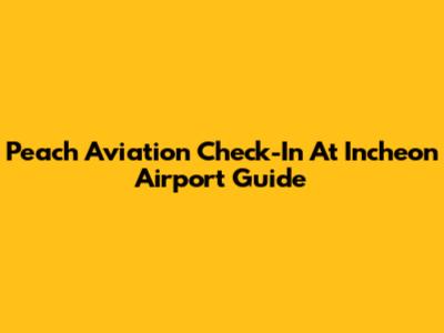 Peach Aviation Check-In At Incheon Airport Guide