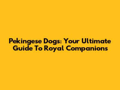 Pekingese Dogs: Your Ultimate Guide To Royal Companions