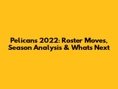 Pelicans 2022: Roster Moves, Season Analysis & What's Next