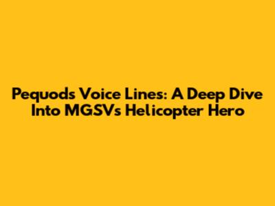 Pequod's Voice Lines: A Deep Dive Into MGSV's Helicopter Hero