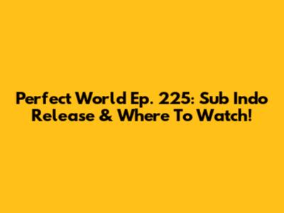 Perfect World Ep. 225: Sub Indo Release & Where To Watch!