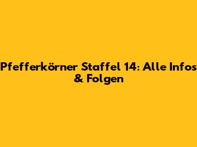 Pfefferkörner Staffel 14: Alle Infos & Folgen