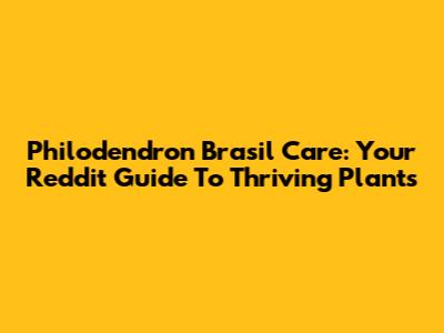 Philodendron Brasil Care: Your Reddit Guide To Thriving Plants