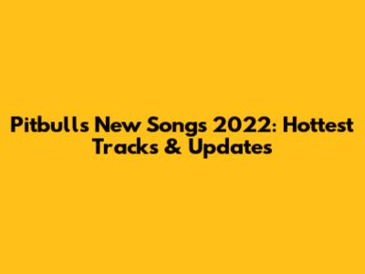 Pitbull's New Songs 2022: Hottest Tracks & Updates