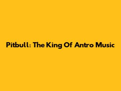 Pitbull: The King Of Antro Music