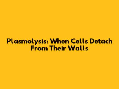 Plasmolysis: When Cells Detach From Their Walls