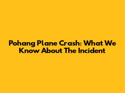 Pohang Plane Crash: What We Know About The Incident