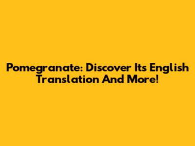 Pomegranate: Discover Its English Translation And More!