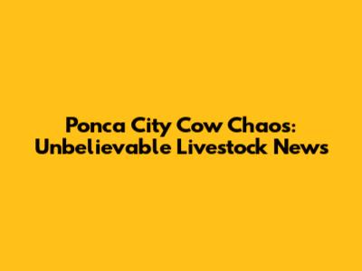 Ponca City Cow Chaos: Unbelievable Livestock News