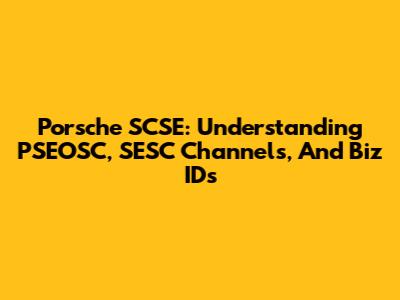 Porsche SCSE: Understanding PSEOSC, SESC Channels, And Biz IDs
