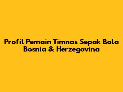 Profil Pemain Timnas Sepak Bola Bosnia & Herzegovina