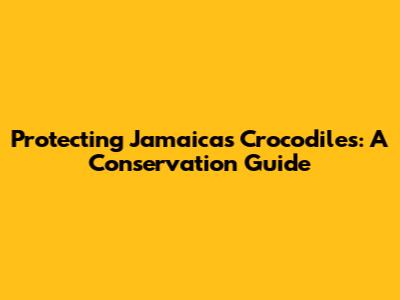 Protecting Jamaica's Crocodiles: A Conservation Guide