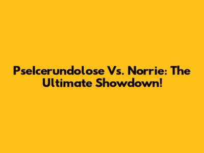PseIcerundolose Vs. Norrie: The Ultimate Showdown!