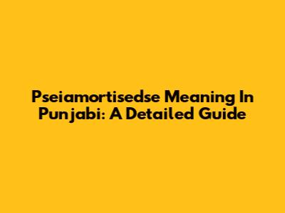 Pseiamortisedse Meaning In Punjabi: A Detailed Guide