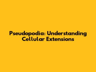 Pseudopodia: Understanding Cellular Extensions