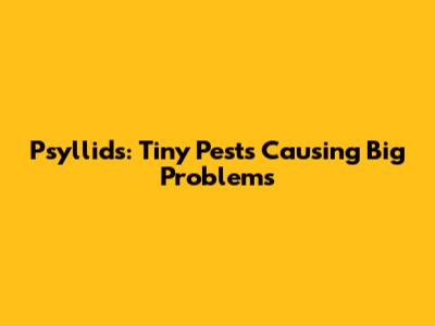 Psyllids: Tiny Pests Causing Big Problems