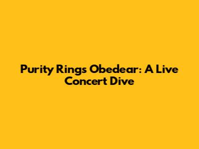 Purity Ring's Obedear: A Live Concert Dive