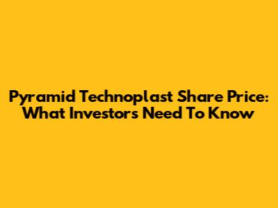 Pyramid Technoplast Share Price: What Investors Need To Know