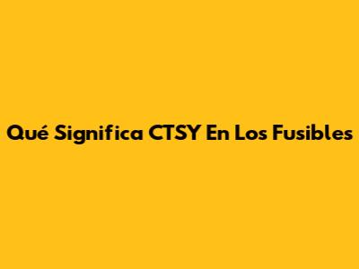 Qué Significa CTSY En Los Fusibles